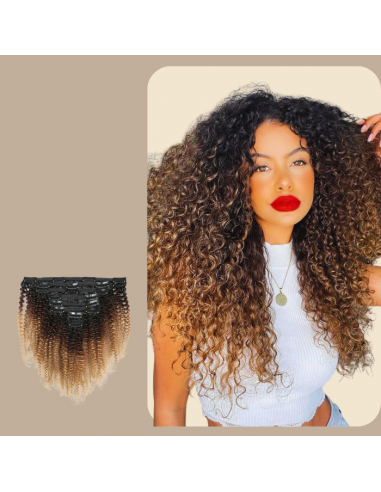 Afro Curly Ombre Brown Chocolate Blonde Clip-In Extensions Kit 120 gr le des métaux précieux