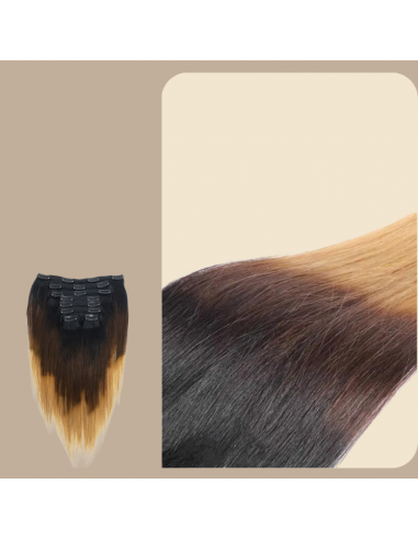 Straight Ombre Brown Chocolate Blonde Clip-In Extensions Kit 120 gr Comparez plus de prix